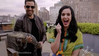 Katy Perry amazed by Magician David Blaine.. what's in her Purse