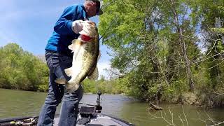 Flipping Famous Chickamauga Lake