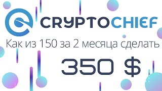 Cryptochief как из 150 сделать 350 долларов на пассиве