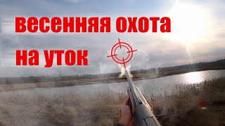 Охота на утку и на тетерева | весенняя охота 2021