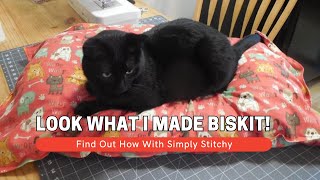 Quick & Easy DIY: Crafting Biskit's Cushion in Under 20 Minutes