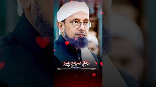 Haq Sajjan Peer #youtubeshorts #viral #subscribe #tahiri #tahiripindi #naat #pakistan