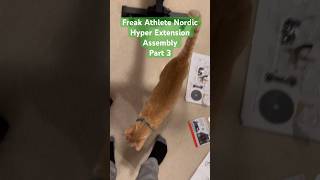 Freak Athlete Nordic Hyper Extension Assembly Part 3 #hobby #homegym #nordic #assembly #cats