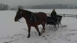 12/29/13 WCAX Sleigh Rides PKG