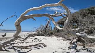 Jekyll Island South Dunes Beach Walking Tour