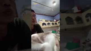 Waduh‼️Malah Bikin Berantakan Pekerjaan Abah  #shots #cat #kucing #cats #catvideos #catlover