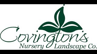 Covington's Nursery and Landscape HGTV Commercial Spring 2019