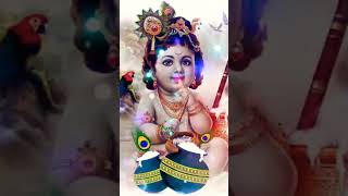 Happy Krishna Janamashtmi 2023 l Jai Shri Krishna#new #shorts #viral #status@naughtyanshworld8825