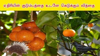 ஏதிரியின் குடும்பத்தை உடனே கெடுக்கும் வித்தை | Siththarkal Ulagam