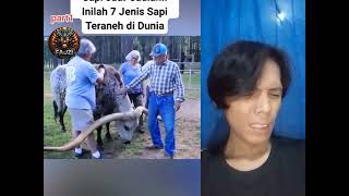 part 1 nh lah sapi yang berkualitas baik #sapi #fypシ゚viral #cow #iduladha #viralvideo #trending