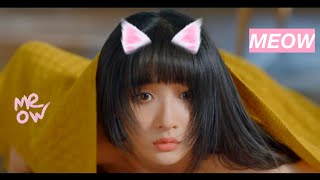 𝐓𝐡𝐞 𝐜𝐚𝐭 𝐡𝐞 𝐬𝐚𝐯𝐞𝐝 𝐛𝐞𝐜𝐨𝐦𝐞𝐬 𝐚 𝐇𝐮𝐦𝐚𝐧 𝐠𝐢𝐫𝐥 😻| Chinese Drama mix | Make a wish cdrama fmv #shorts #cdrama