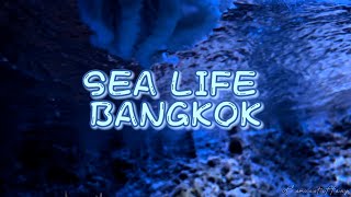 SEA LIFE Bangkok