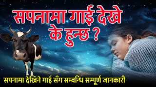 सपनामा गाई देखेमा के हुन्छ ? Sapanama Gaai Dekhe k hunxa ? Sapanama Cow Dekhe k hunxa? #SapanakoFal