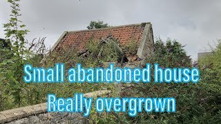 Abandoned cottage. Overgrown with trees.