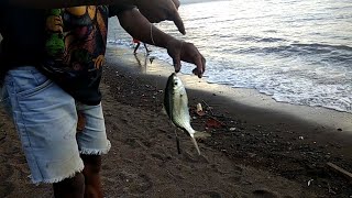 Mancing Mini Mania keren....Flores experience