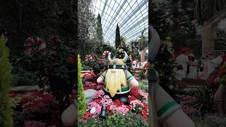 Nordic Xmas @Garden by the Bay Flower Dome #singapore #xmas #shorts #gardenbythebay