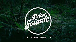 Дождь в лесу / Forest rain | Звуки релакса / Sounds of relaxation