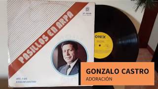 Gonzalo Castro - Adoración