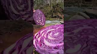 #youtube #new #food #nature #relaxing #viral #asmr #subscribe #delicious #tasty #simple #slovakia