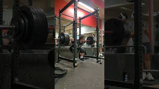 480lb Squat