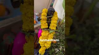 Krishna Janmashtami #laddugopal #krishna #kanha #janmashtami