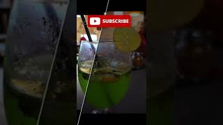 scummyfoods#short#youtubeshorts#bongcook