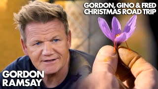 The Herb More Expensive Than Gold! | Gordon, Gino and Fred's Christmas Road Trip