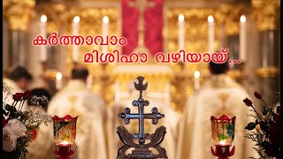 വിശുദ്ധ കുർബാനയുടെ സമാപന ആശീർവാദം | Fr. Vipin Kurishuthara CMI