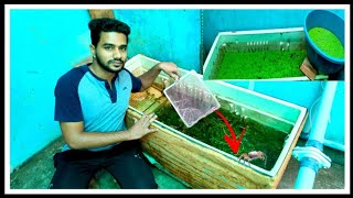 What is on my Backyard Fridges | அப்டி என்னவா இருக்கும்