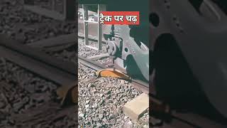 पटरी से उतरी हुई ट्रेन को वापस कैसे चढ़ाते है? | train lifting crane |