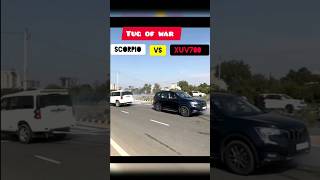 Tug of War | SCORPIO VS XUV700 🔥🔥 #Shorts