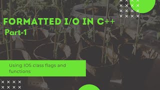 Formatted I/O in Cpp - Part-1 (Using ios class flags & functions)