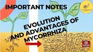 #Evolution and advantages of mycorrhiza# university exam#competitive exam#bpl