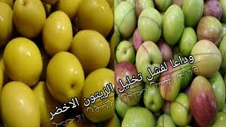 من النهاردا وداعا لفشل الزيتون المخلل|طريقه تخليل الزتون الاخضر زايي الجاهز وافضل💜👌