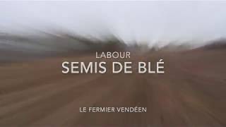 Semis et labour 2018 !