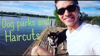 Dog Parks and Haircuts