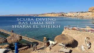 Scuba Diving - Sharm El Sheikh - Ras Umm Sid [2024]