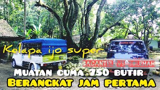 perjalanan muat kelapa muda // granmax pickup par 1..