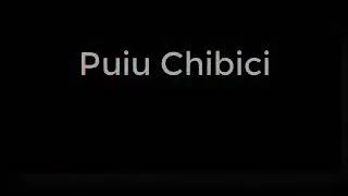 Puiu chibici