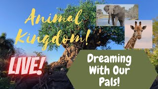 🔴LIVE: Disney’s Animal Kingdom | Disney World Livestream | 10/6/2024