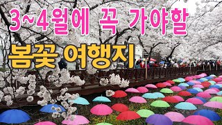 3~4월에 꼭 가봐야 할 봄꽃 여행지 베스트 4를 소개합니다. 첫봄을 알리는 광양매화마을 부터 산수유마을, 동백섬 장사도, 벚꽃명소 진해군항제까지