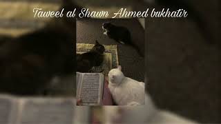 Taweel Al Shawq Ahmed Bukhatir Sped Up Nasheed