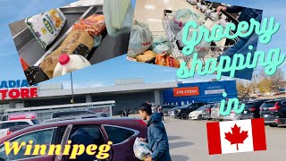 Indian student going for grocery in Canada || Raghwinder vlogs