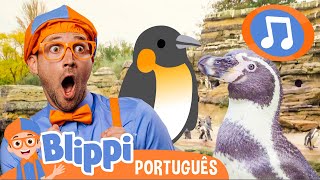 A Música dos Pinguins | Cante com o Blippi Brasil!