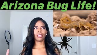 ARIZONA BUG LIFE! SCORPIONS, ROACHES, BLACK WIDOW OH MY!