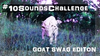 #10SoundsChallenge ~ Goat Swag Edition + Extra Goat Outro :D