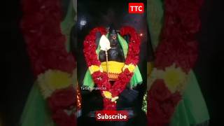 🙏🦚🙏#muruga #temple #kovil #history #live #streamer #world #trending #shiv #perumal #tirupati #news