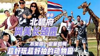 【2023🇹🇭曼谷北碧府Vlog】泰国北碧府Kanchanaburi必去动物园！和长颈鹿！斑马近距离拍照！一定要安排上！！！