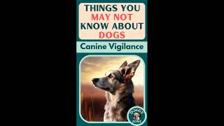 Canine Vigilance |  Dog Breed | Dog Lovers