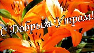 С ДОБРЫМ УТРОМ 20 Ноября!🌼Желаю Самого Доброго Солнечного Утра!🌼  Шикарная Музыкальная открытка 🌼